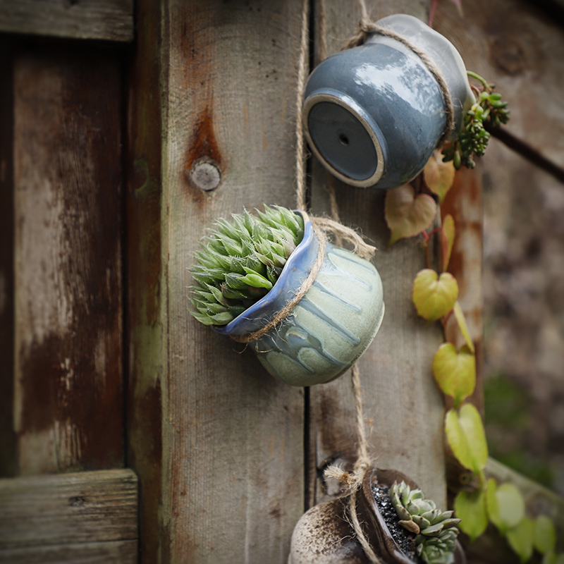Platinum jade concise hanging rope fleshy money plant bracketplant hanging flower pot hanging POTS archaize ceramic creative move