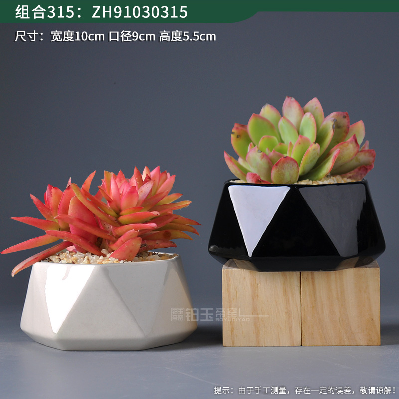 Platinum jade fleshy flowerpot geometric polygon small flower POTS of creative move Nordic ins flesh pottery pot the plants