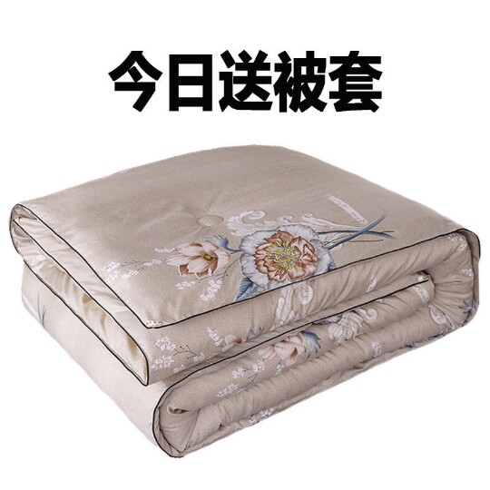 Silk quilt 100 mulberry silk spring autumn winter by two-in-one primary and secondary quilt core thickened 10 catties of total cotton quilts by summer