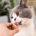Hemosa Black Sand Reward Cat Pudding Cat Snacks Jelly Abalone Flavour 25g * 8pcs / bag Tùy chọn nhiều hương vị - Đồ ăn nhẹ cho mèo