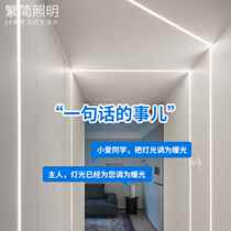 Complex Rice Home Intelligent Led Line Light Embedded Background Wall Ceiling Aluminium Groove Concealed Black Embedded Linear Lamp