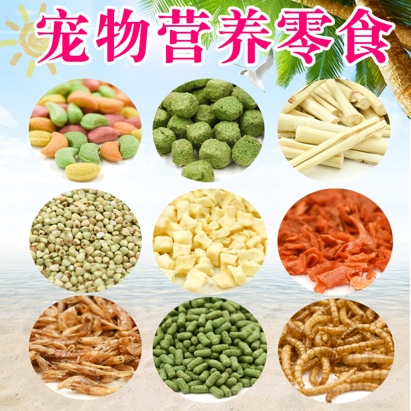 Rabbit molar supplies hamster molar stick stone string wood chinchilla squirrel guinea pig set snack apple branch sweet bamboo