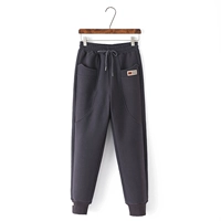 Серый (весна и осень)