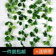 Mô phỏng mây lá nho cây xanh lá nho xanh lá hoa giả hoa nhựa ống hoa trang trí nhà hàng đầu hoa lá nho - Hoa nhân tạo / Cây / Trái cây