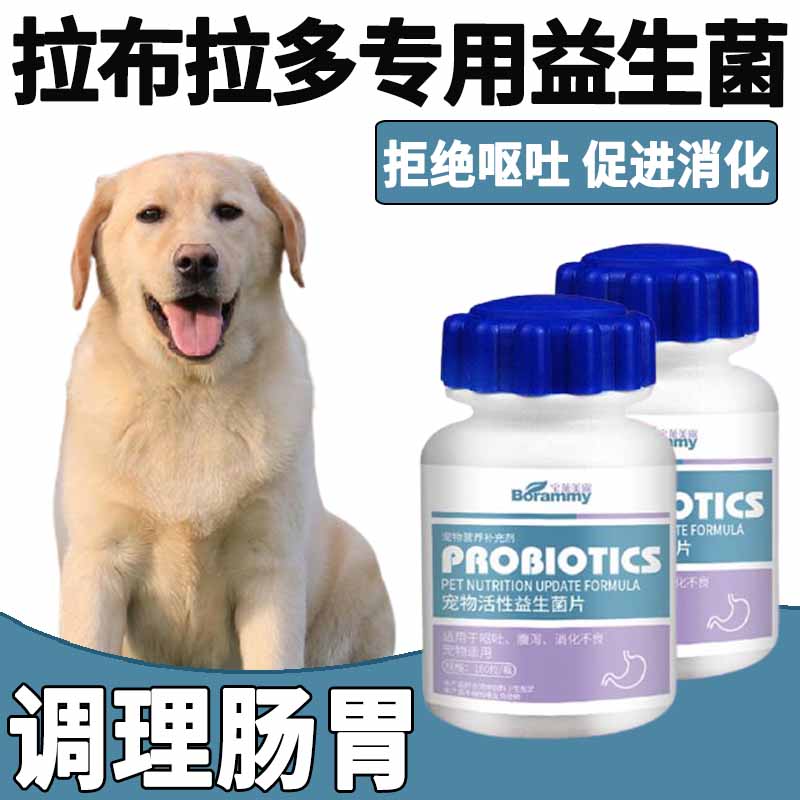 Labrador dog special calcium sheet large canine diarrhea probiotics conditioning gut puppies Fat-growing Older Dogs