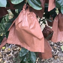  Double-layer grapefruit fruit bag Pomelo bag Sha Tin Grapefruit bag Fruit bag Insect-proof waterproof special processing fruit bag bag