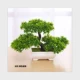 Cây mô phỏng cây nhỏ bonsai giả chậu trồng cây trong nhà phòng khách trong nhà cây xanh để bàn trang trí hoa đặt trang trí - Hoa nhân tạo / Cây / Trái cây