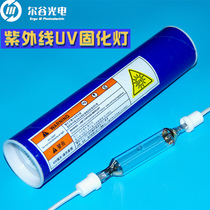2KW Mercury Lamp UV glue varnish Harden Lamp UV lamp Mercury Lamp UV curing lamp mercury lamp ultraviolet UV curing lamp