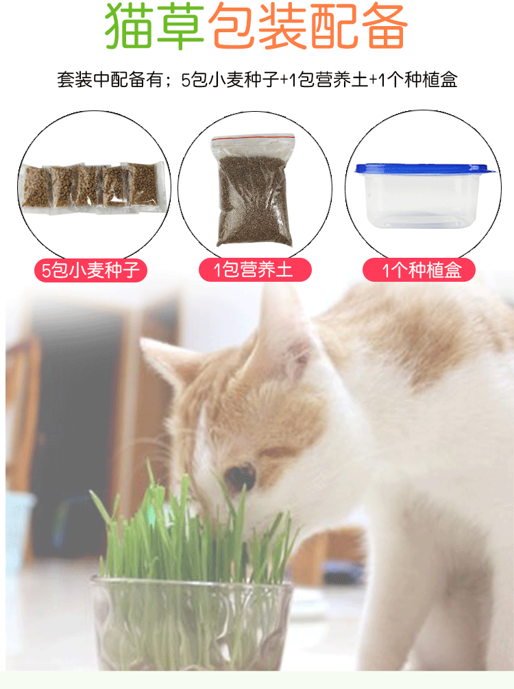 Mèo cỏ mèo ăn nhẹ mèo cỏ hạt giống mèo cỏ nồi đặt thức ăn để tóc bóng điều hòa dạ dày vật nuôi - Đồ ăn nhẹ cho mèo bánh mèo thần tài yaruna