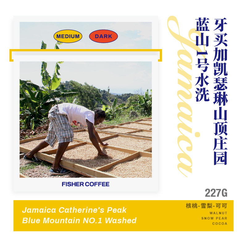 FISHER Jamaica Kathleen Peak Estate Blue Mountain One washed boutique coffee bean hand sprint N1 N2
