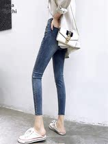 Large size pipe pants women fat mm Spring and Autumn design sense niche retro straight thin jeans women high waist elasticity thin