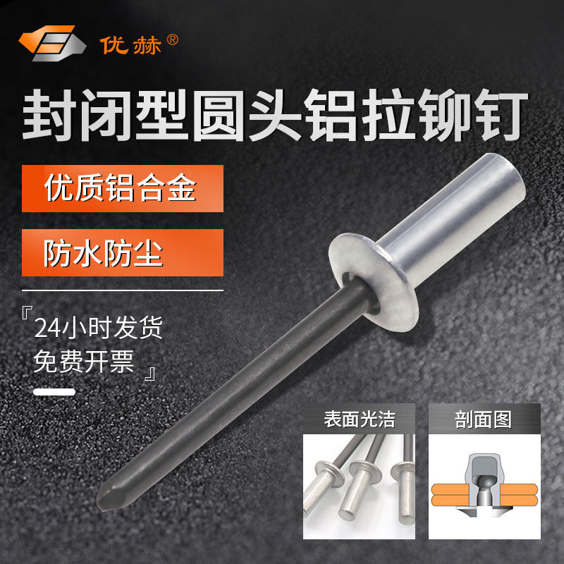 Aluminum alloy closed meta-head draw-core rivet aluminium closed pull nail closed round head aluminium pull rivet waterproof rivets