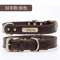 Слова-коричневые