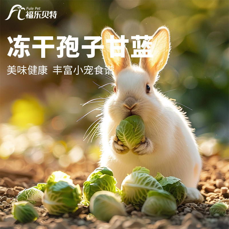 冻干孢子甘蓝,宠物兔磨牙神器?📚深度测评与推荐-兔兔零食-淘宝好物网
