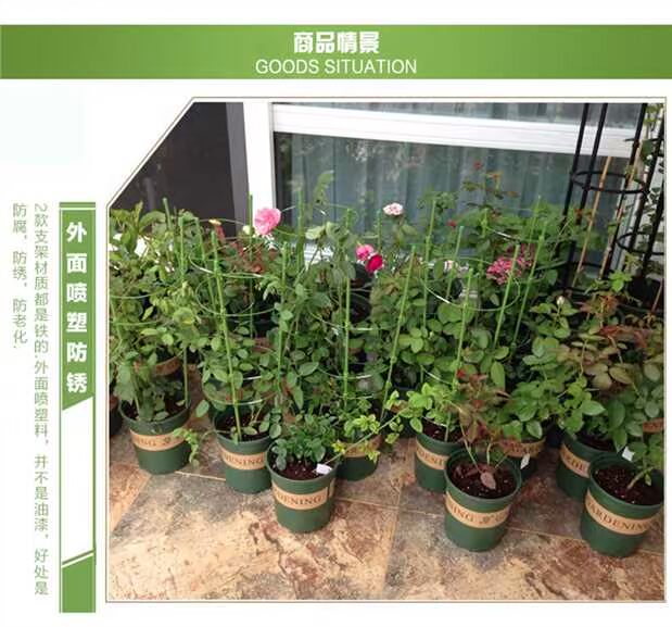 Cây leo leo mới khung vườn hoa hỗ trợ cây leo khung làm vườn cung cấp trụ sắt rèn hoa hồng sắt voi tuoi cay