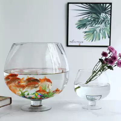 Creative small living room fish tank glass round thick Turtle Bowl goldfish tank desktop extra-large beer Hero Cup