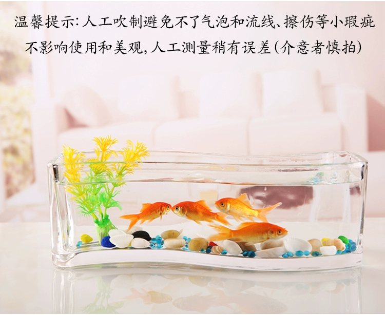 Sáng Tạo Hình Chữ Nhật Kính Cá Dày Máy Tính Để Bàn Nhỏ Mini Bể Cá Betta Cá Bảy Màu Cá Nhà Phòng Khách Thủy Canh