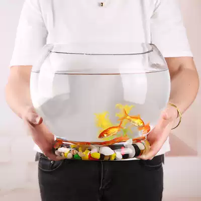 Round glass fish tank creative large ecological goldfish tank with bottom Household living room turtle tank desktop hydroponic vase