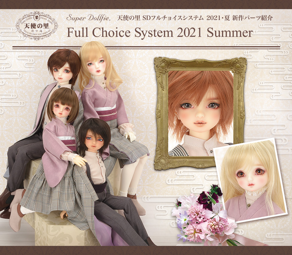 volks FCS ad hoc SD10 SD13 F54 F63 F73 F86 in defined