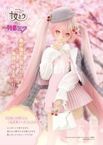 VOLKS 2024年东京DP51 DD 樱初音 赏花套装 お花見