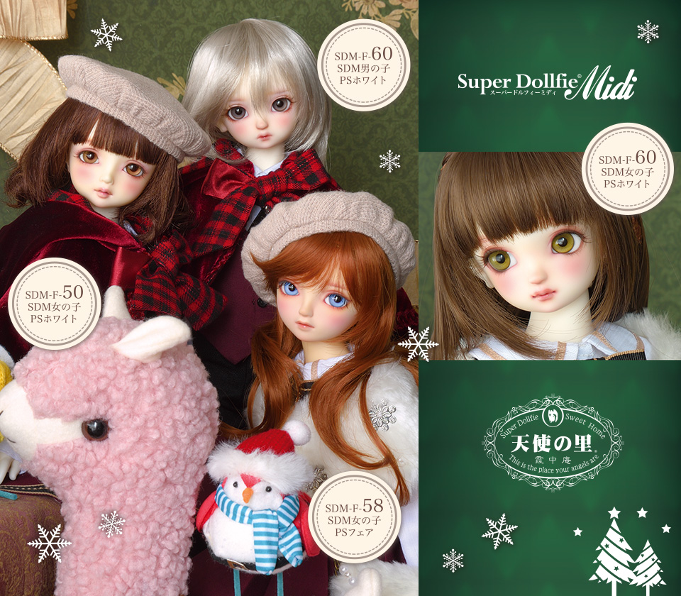 Japan package direct mail VOLKS Angel window limited CM full set SDM 33 50 White Lotus 60