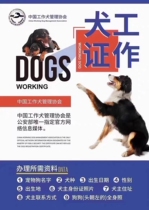 Dog certificate Chinese working dog certificate working dog registration certificate with chip official website to register certificate