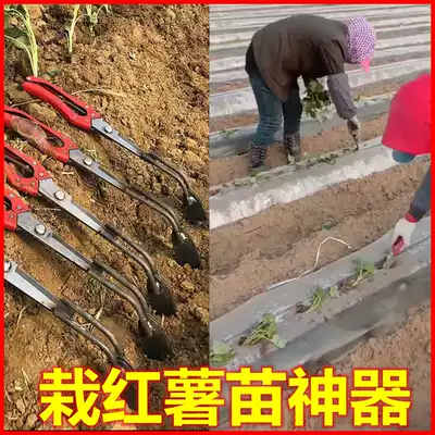 Sweet potato transplanting machine seedling planting machine agricultural tool small machine planting sweet potato seed potato mechanical seedling transplanting machine artifact