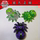 Подлинный Sega Bakugan Blind Bag Blind Box Паук с восемью когтями Bakugan Kid Dragon Flame Dragon оригинальная технология Tiansheng Roar Dragon mini 4