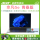 Acer/Acer Youyue 14/Extraordinary GO официальный аутентичный новый ноутбук 13-го поколения i5 со стандартным напряжением, высокопроизводительный легкий портативный ноутбук для бизнеса, офиса, студентов Acer для мужчин и женщин mini 0