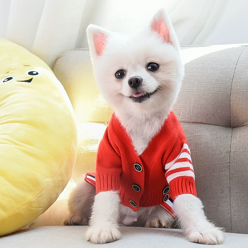 Собачья одежда новогодний зимний питомец Тедди Фасун Бики Корки маленькие собаки Новый год
