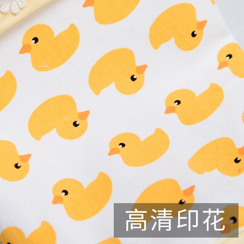 Одежда для щенка лето тонкая плюшевая бишон медведь маленькая собака щенка для домашних животных боевые кошки весна и осенний интернет -жилет