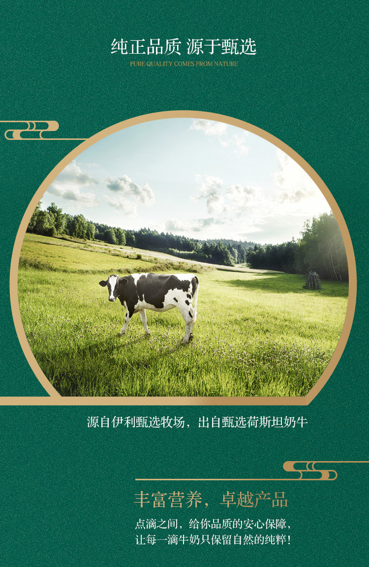伊利 金典 高蛋白纯牛奶 250ml*16盒 整箱装 图5
