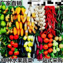 Small courtyard foam grains rattan personality onion simulation photo props kindergarten cognitive teaching aids