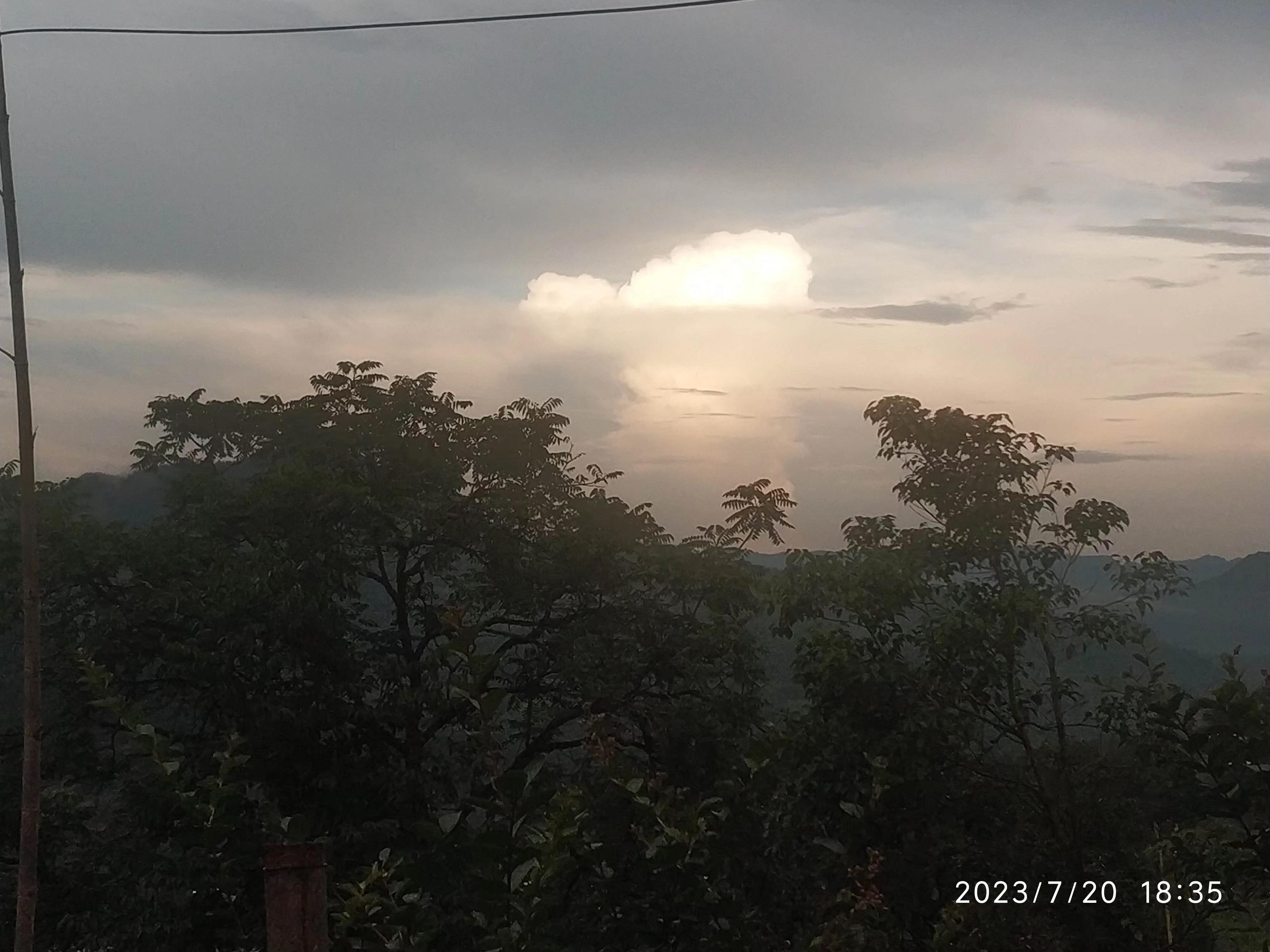 Post-price-no-shop announcement: 25 morning ten-point putaway berry tea-Taobao