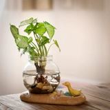 Зеленый бедный горшок стеклянный цветочный бутылка Прозрачная рабочая стола Творческий монах дзен свинг цветочный цветок