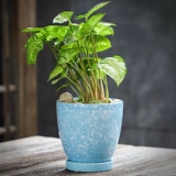 宣福 Керамический цветочный горшок, большой креативный корсет на тазовое кольцо, комплект, подходит для подростков