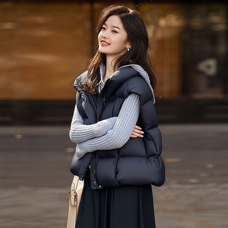 2026 Super Popular Age-Reducing Ribbed down Vest for Women, New Fashionable and Stylish Outerwear for Spring and Autumn, Warm Vest for Petite Figures