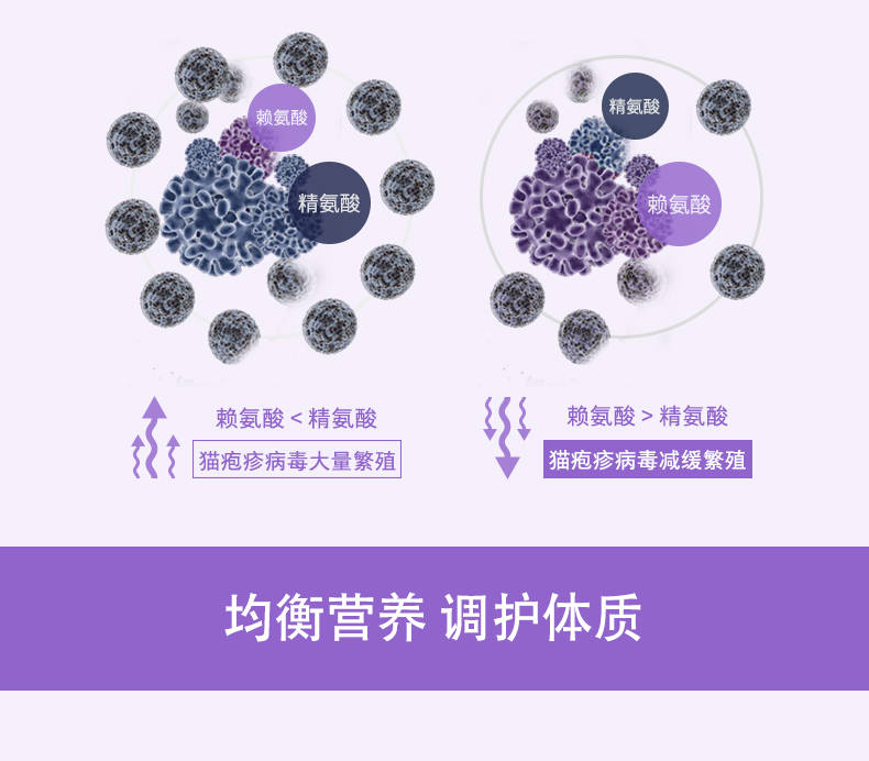 Weishi catamine mèo mũi mèo mèo lysine mèo ammonia điều hòa mèo hắt hơi nước mắt bột 200 viên - Cat / Dog Health bổ sung 	sữa cho chó tốt