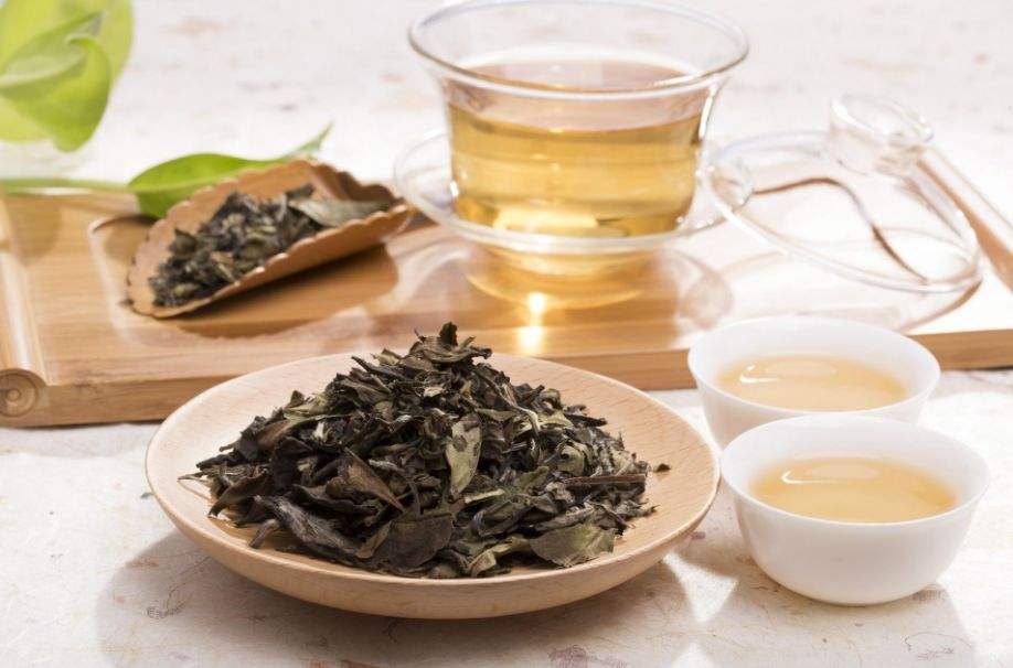 谁说年轻就不饮茶?养生就要早早做起!