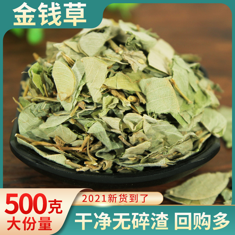 Guangxi Large Leaf Gold Money Grass Wild Fresh Bubble Water Tea Wide Gold Money Grass When Season New Goods Dry Chinese Herbal Medicine Selected 500g