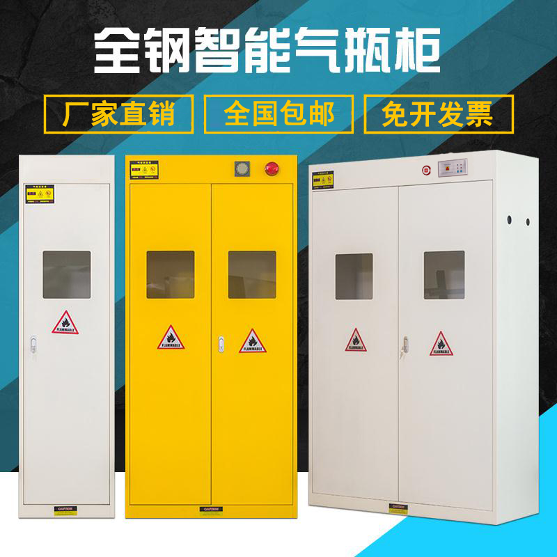 All steel thickened laboratory gas cylinder storage cabinet methane acetylene hydrogen oxygen argon liquefied gas cylinder explosion-proof cabinet