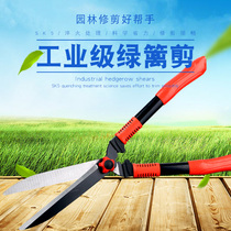 Gong gardening scissors hedge shears lawn mowing pruning shears flowers trees branches rough branches landscaping large scissors