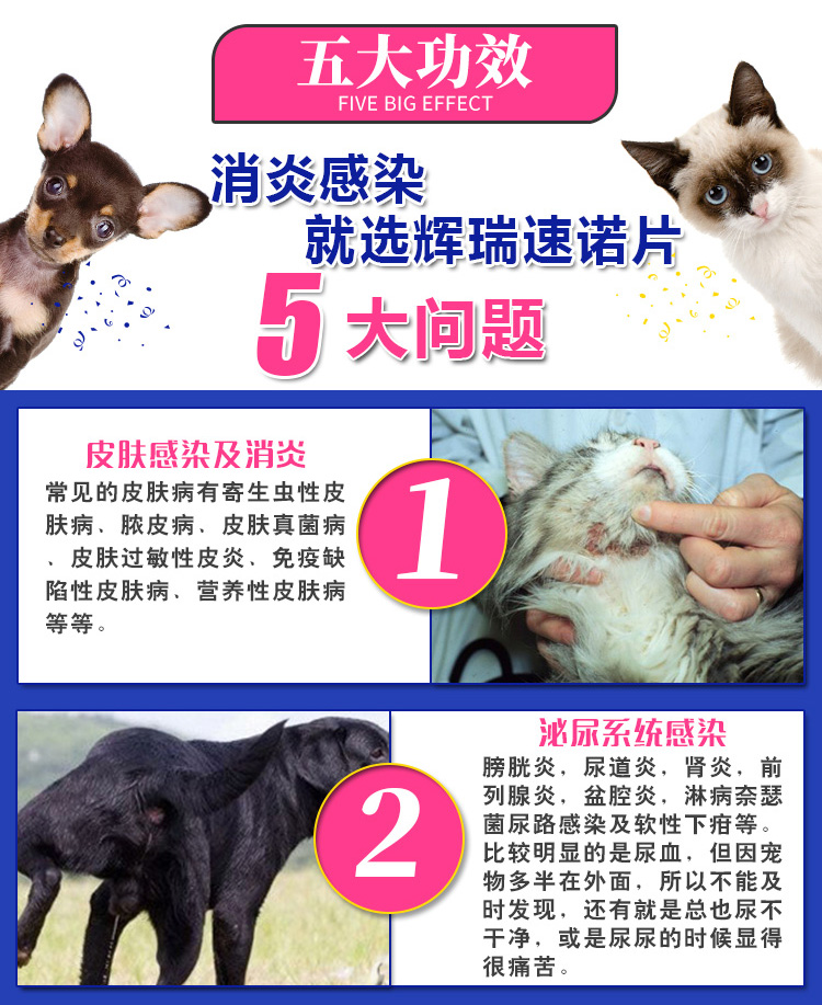 Pfizer Synulox sinuo 50mg chó mèo mũi mũi lạnh ho thuốc bệnh da nhiễm trùng 10 - Cat / Dog Medical Supplies xilanh tiêm