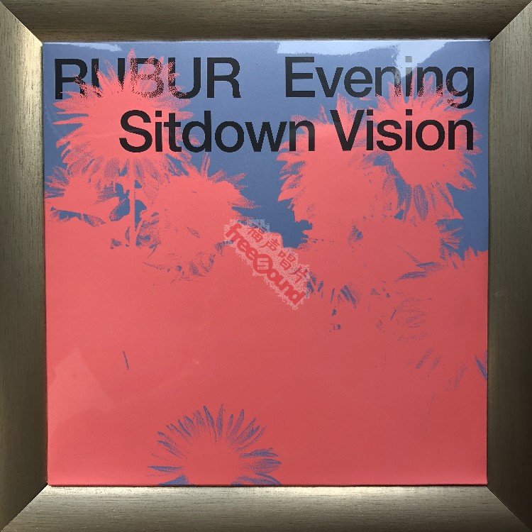 Rubur band Evening Sitdown Vision 12 inch LP Blackglue Records New Spot-Taobao