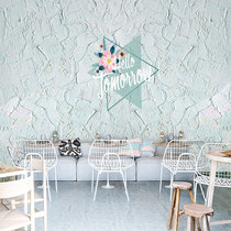 Rugged cement silicon algae mud care wall plate fresh dining room Milk Tea Shop Cassette Decorated Buttonboard Beauty Salon integrated wall panels