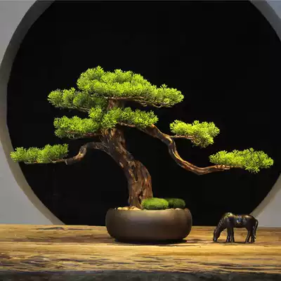 New Chinese style simulation welcome pine bonsai creative decoration Living room entrance coffee table Hotel solid wood green plant home accessories