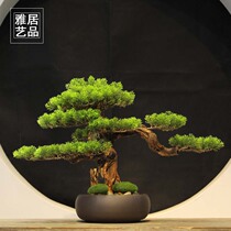 New Chinese style simulation welcome pine bonsai living room entrance Zen green plant decoration model room home decoration micro-landscape