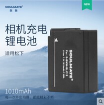 Panasonic Leica BLC12 Battery QV-LUX4 5 DMC-GH2G5G6G6G7G7GX8FZ30G85