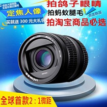 Old Frog Laowa 60mm F2 8 2: 1 Microlens 2 Times Fixed Charred Portrait Insect Reeye Floral Enlargement Head