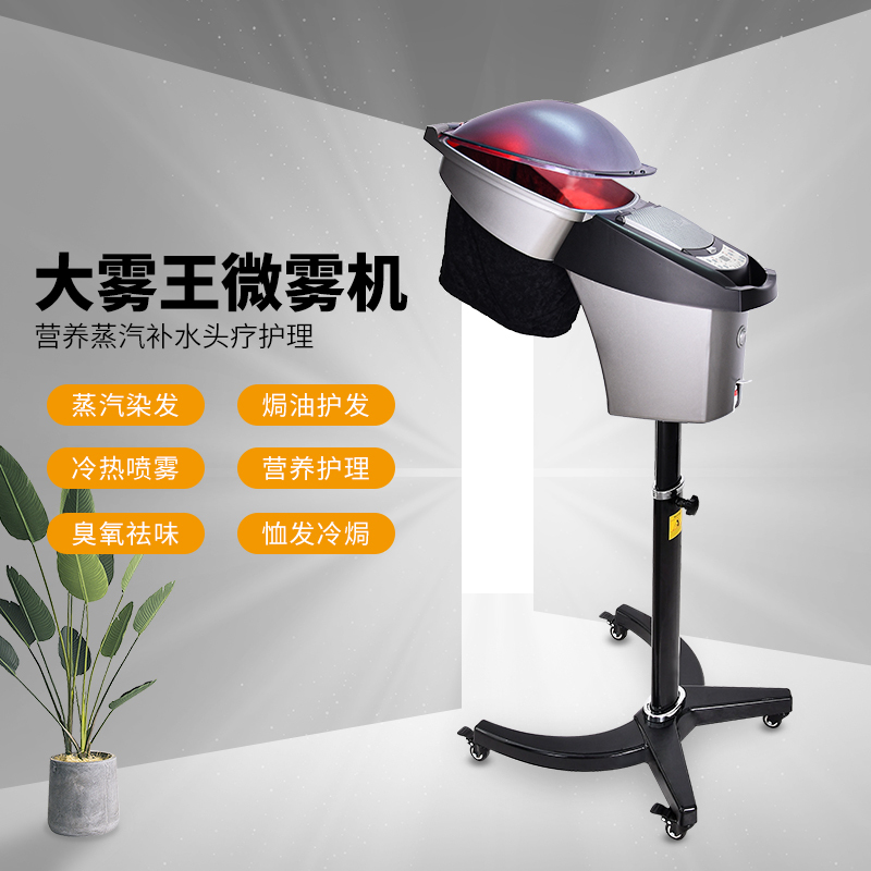 New Hair Steamer, Hair Salon Special Equipment, Hair Care Machine for Barbershop, Ozone Hair Care Salon Equipment